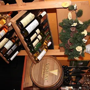 Hotel Agricola, Prague